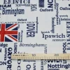 COTONE PANAMA BRISTOL