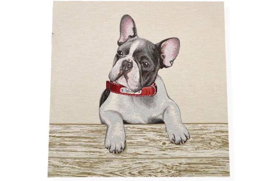 GOBELIN FANTASIA BULLDOG 13469 MISURA CM 47X47