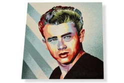 GOBELIN FANTASIA JAMES DEAN 12913 MISURA CM 47X47