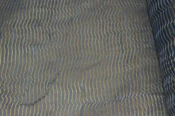 ORGANZA BLU RIGHINO ORO