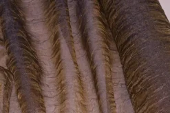 ORGANZE STROPICCIATE