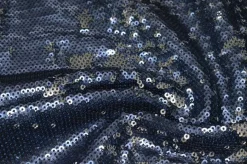 PAILLETES CUCITE BLU/ARGENTO