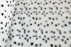 PELLICCETTA DALMATA