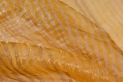 SCAMPOLO TENDA ORGANZA STROPICCIATA RIGATINO ORO