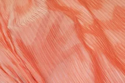 TESSUTO CHIFFON PLISSETTATO ARANCIO