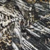 TESSUTO MAGLIA A COSTE FANTASIA SFUMATA ANIMALIER
