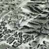 TESSUTO MAGLINA A BALZE ANIMALIER