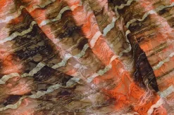 TESSUTO PIZZO CON VOLANT SFUMATO MARRONE ARANCIO
