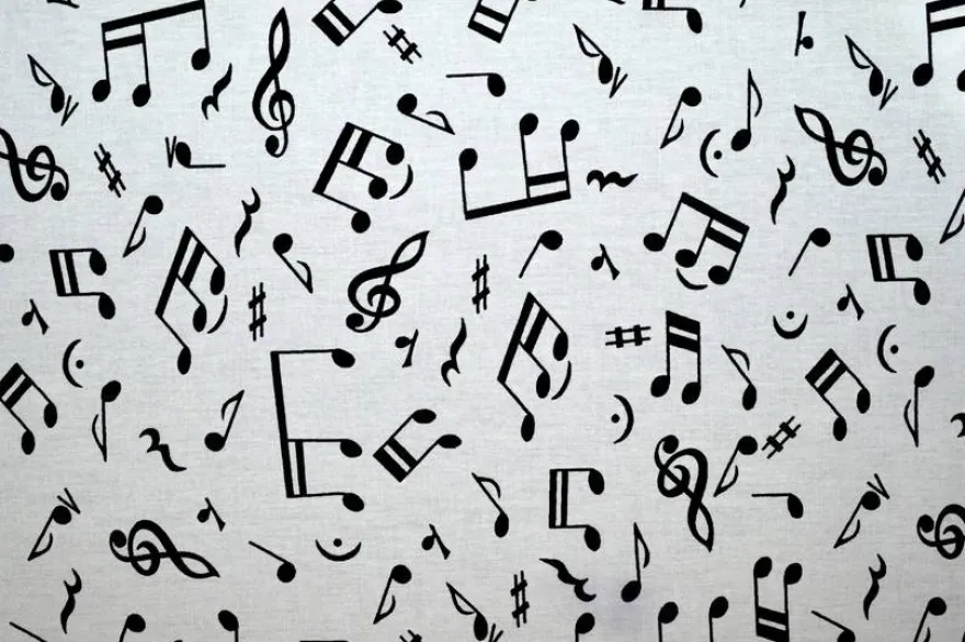 TESSUTO PURO COTONE FANTASIA MOZART BIANCA