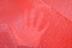TESSUTO SETA ORGANZA OPERATA CORALLO