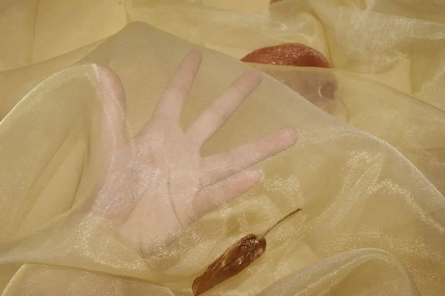 TESSUTO TENDA ORGANZA CON APPLICAZIONE FOGLIA IN RILIEVO