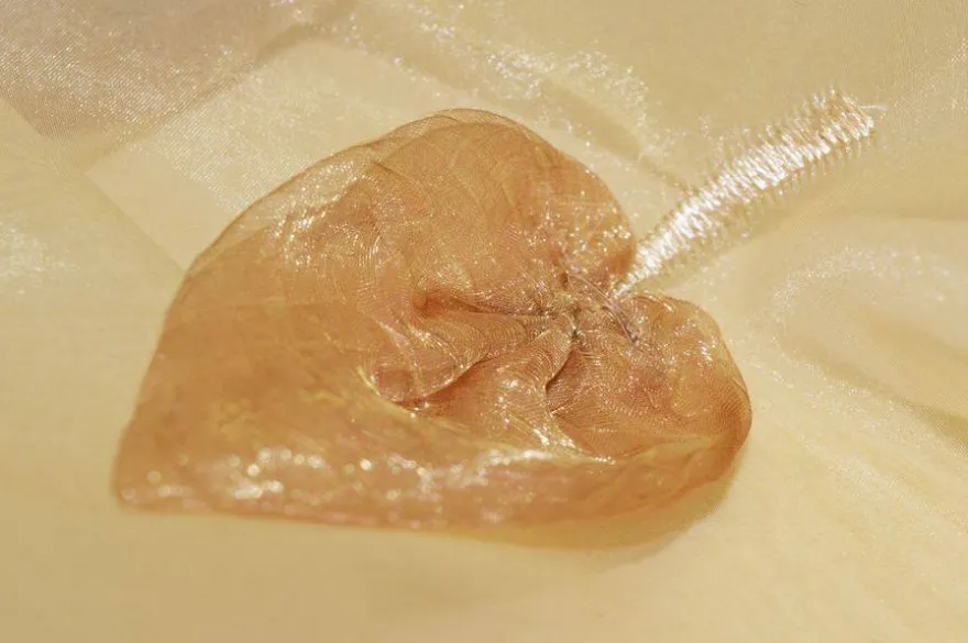TESSUTO TENDA ORGANZA CON APPLICAZIONE FOGLIA IN RILIEVO